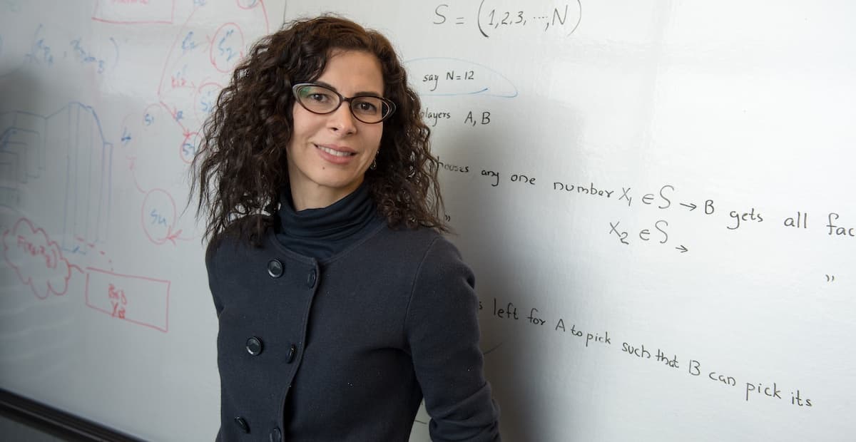 Farinaz Koushanfar